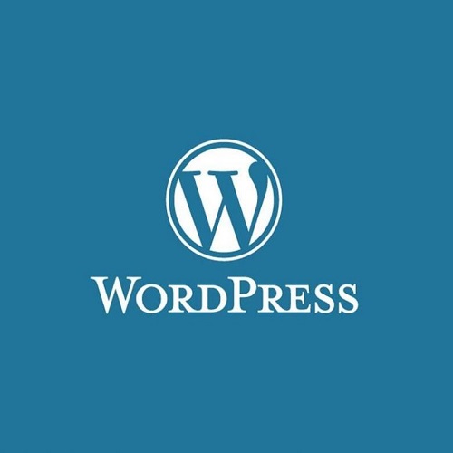 Statistika apie WordPress